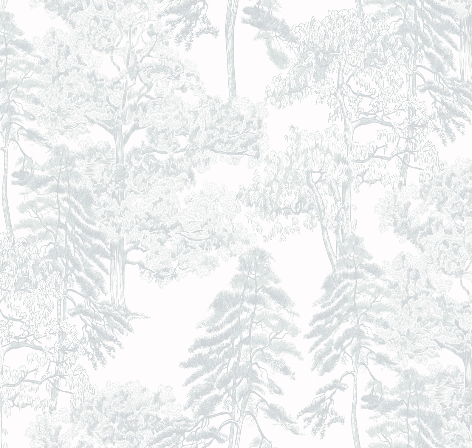 Обои Milassa Ambient vol.4 Лесной этюд Туманный лес AM5 001/2 10,05×1